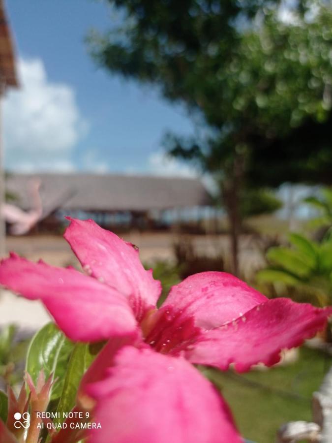 Pousada E Restaurante Do Francisco Icapui Ngoại thất bức ảnh